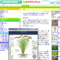 |vfBAlbg摜S