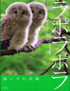 ラポラポラ―森にすむ妖精