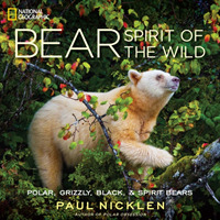 Bear : Spirit of the Wild