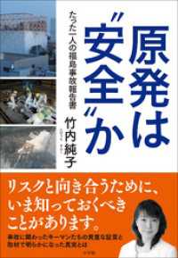 原発は“安全”か～たった一人の福島事故報告書～