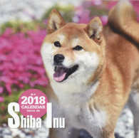 ［カレンダー］<br> 大判カレンダー柴犬 〈２０１８〉
