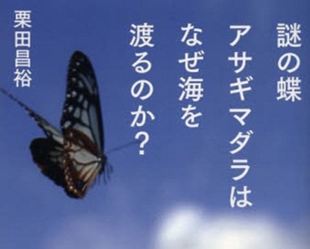 海を渡る不思議な青い蝶。『謎の蝶アサギマダラはなぜ海を渡るのか ...