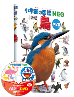 新刊 魚 鳥 が発売 小学館の図鑑ｎｅｏ プラスポイントキャンペーン 15年6月18日 木 8月31日 月 本の 今 がわかる 紀伊國屋書店