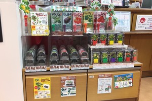 新宿本店 ペットボトルで野菜が育つ 超簡単系栽培キット ペットマト をはじめてみよう Growing Vegetable In A Plastic Bottle Let S Start Super Easy Grow Kits Petomato １f Books On Japan 17年7月 本の 今 がわかる 紀伊國屋書店