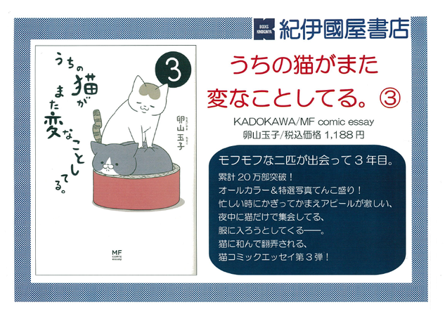 うちの猫3.png