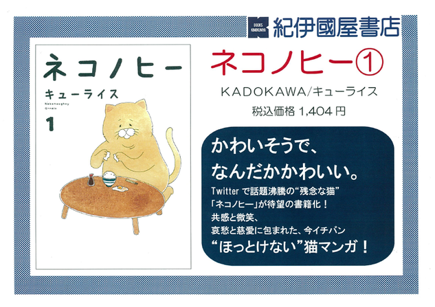 ネコノヒー.png
