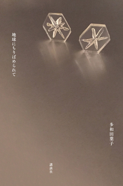 『地球にちりばめられて』書影.jpg