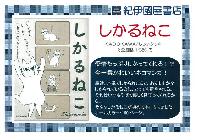 しかるねこ.png