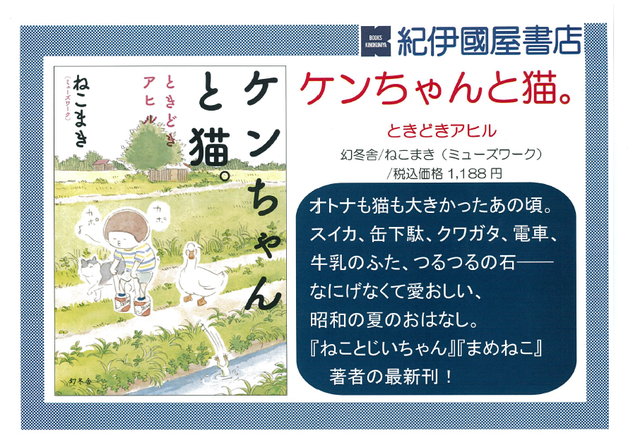 ケンちゃんと猫.png