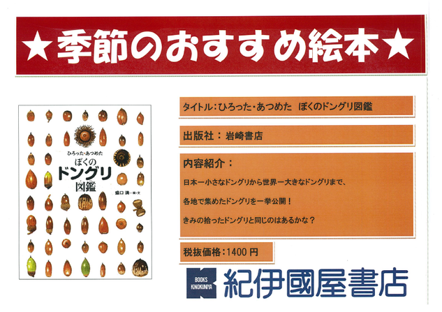 ぼくのドングリ.png