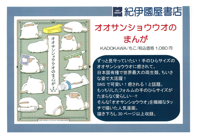 20190121おおさんしょううお.png