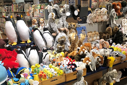 前橋店 ウミウシ 巨大カエル ハシビロコウも 動物ぬいぐるみ グッズフェア3月17日まで開催中です 19年 本の 今 がわかる 紀伊國屋書店