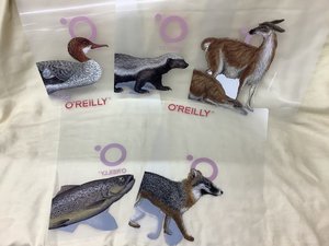 【画像】オライリーフェアクリアファイル.jpg