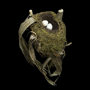 珍しい 鳥の巣の写真だけを集めた洋書 Nests 本の 今 がわかる 紀伊國屋書店
