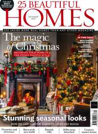 25 BEAUTIFUL HOMES