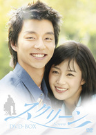 スクリーン　ＤＶＤ－ＢＯＸ