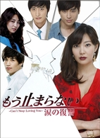 もう止まらない～涙の復讐～　ＤＶＤ－ＢＯＸ　１