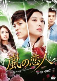 嵐の恋人　ＤＶＤ－ＢＯＸⅢ