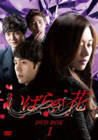 いばらの花　ＤＶＤ－ＢＯＸ１