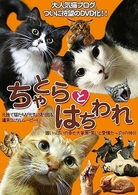 ちゃとらとはちわれ