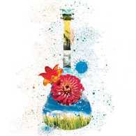 ＴＨＥ　ＢＯＯＭ／夢から醒めて／Ａｌｌ　ｏｆ　Ｅｖｅｒｙｔｈｉｎｇ【ＤＶＤ付】