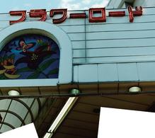 １００ｓ／世界のフラワーロード【ＳＨＭ－ＣＤ】