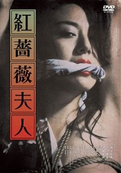 紅薔薇夫人