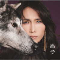 Ｓｈｉｚｕｋａ　Ｋｕｄｏ／「感受」Ｓｈｉｚｕｋａ　Ｋｕｄｏ　３５ｔｈ　Ａｎｎｉｖｅｒｓａｒｙ　ｓｅｌｆ－ｃｏｖｅｒ　ａｌｂｕｍ