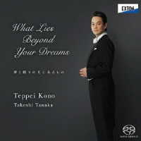 河野鉄平／夢と眠りの先にあるもの　－Ｗｈａｔ　Ｌｉｅｓ　Ｂｅｙｏｎｄ　Ｙｏｕｒ　Ｄｒｅａｍｓ