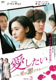 愛したい～愛は罪ですか～　ＤＶＤ－ＢＯＸ３