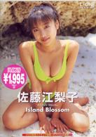 Ｉｓｌａｎｄ　Ｂｌｏｓｓｏｍ　Ｓｕｐｅｒ　Ｐｒｉｃｅ