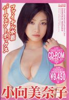 小向美奈子　ファイナル水着パーフェクトＢＯＸ
