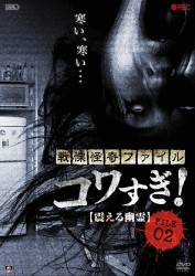 戦慄怪奇ファイル　コワすぎ！　ＦＩＬＥ－０２　震える幽霊