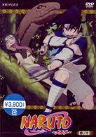 ＴＶ　アニメーション　ＮＡＲＵＴＯ　巻ノ十