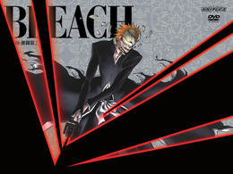 ＢＬＥＡＣＨ　破面・激闘篇　２