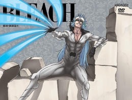 ＢＬＥＡＣＨ　破面・激闘篇　４（完全生産限定版）