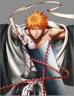 ＴＶ　Ａｎｉｍａｔｉｏｎ　ＢＬＥＡＣＨ　５ｔｈ　Ａｎｎｉｖｅｒｓａｒｙ　ＢＯＸ