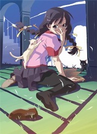 化物語　第六巻　つばさキャット　下（完全生産限定版）