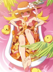 「偽物語」第三巻／かれんビー（下）（完全生産限定版）