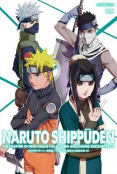 ＮＡＲＵＴＯ－ナルト－　疾風伝　九尾掌握と因果なる邂逅の章　４