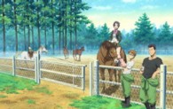 銀の匙　Ｓｉｌｖｅｒ　Ｓｐｏｏｎ　２（完全生産限定版）