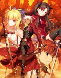 Amazon.co.jp: Fate/stay night 通常版 : PCソフト