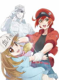 はたらく細胞！！　１（完全生産限定版）