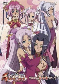 真・恋姫†無双～乙女大乱～　四　ＤＶＤスタンダード版