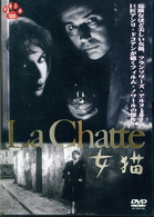 女猫