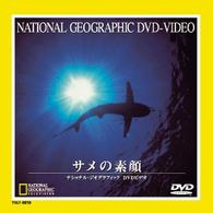 サメの素顔