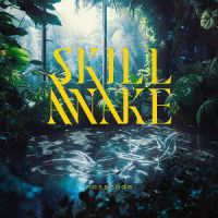ＰａｓｓＣｏｄｅ／ＳＫＩＬＬＡＷＡＫＥ