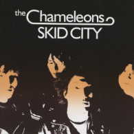 Ｔｈｅ　Ｃｈａｍｅｌｅｏｎｓ／ＳＫＩＤ　ＣＩＴＹ