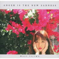 飯島真理／Ａｎｇｅｒ　ｉｓ　Ｔｈｅ　Ｎｅｗ　Ｓａｄｎｅｓｓ