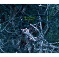 石橋英子／Ｉ’ｍ　ａｒｍｅｄ